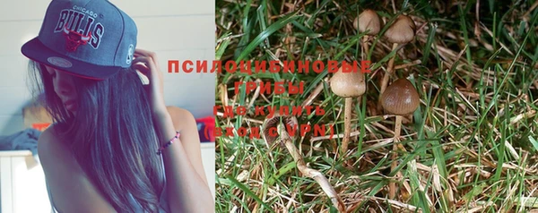 молекула духа Алзамай