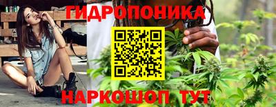 mdpv Гатчина
