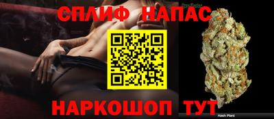 спайс Гагарин