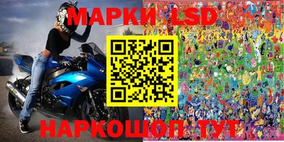 mdpv Гатчина