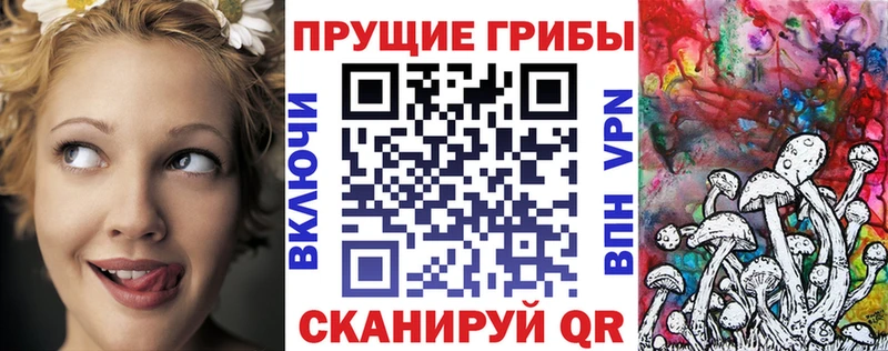 магазин    Коркино  Псилоцибиновые грибы мухоморы 