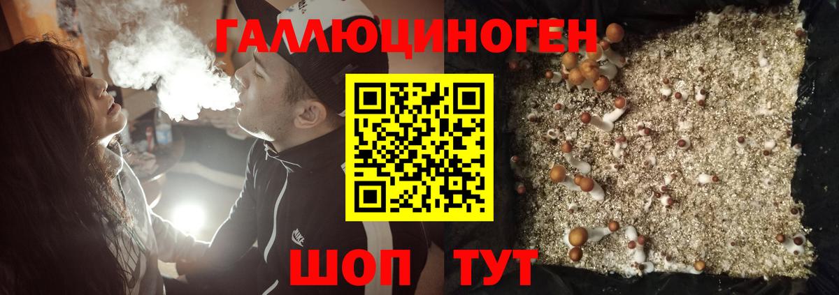 Галлюциногенные грибы GOLDEN TEACHER  Галлюциногенные грибы ЛСД  Вход с VPN  Коркино 